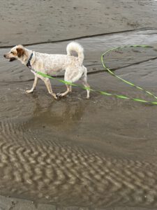 Fiona am Strand