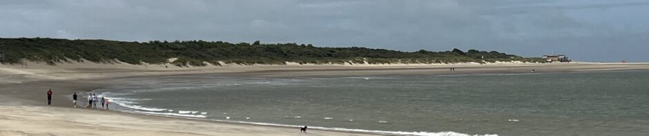 Nordsee Strand Scharendijke