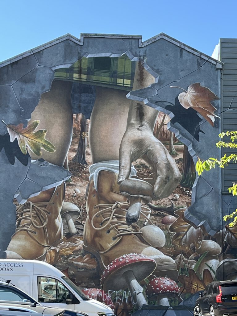 Kunst an Häuserwänden